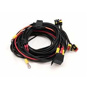 Four-lamp Harness Kit (low power, 12V) with Switch