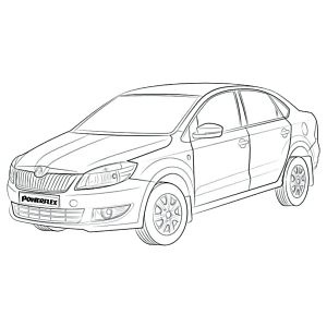 Rapid (2011- )