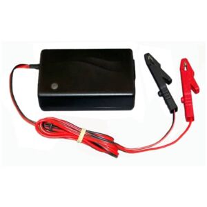 DMS Varley Lithium 2A Charger (EU)