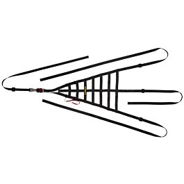 Image of Schroth - Raamnet links
