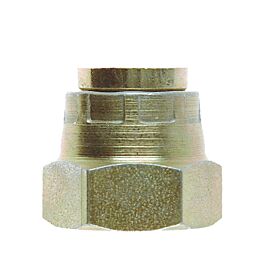 Image of Goodridge CAP 1/8 BSP