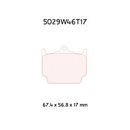 Image of 5029W46T17RC8R 1 set=8 pads 17mm dik