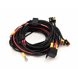 Image of Four-lamp Harness Kit (low power, 12V) with Switch
