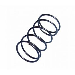 Image of DHLA DRLA Pump Diaphragm Spring (Strong) 