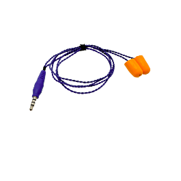 Image of Biesheuvel - Oordoppen Foam 3.5mm Jack