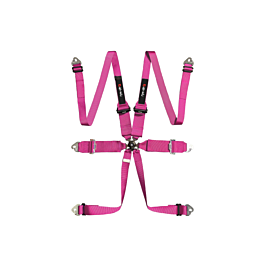Image of LTEC FIA HANS GORDEL 6 PUNTS ROZE