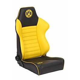 Image of BVB 09