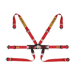 Image of Sabelt 6 Punts Gordel 2 Inch Formula Aluminium FIA