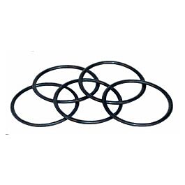 Image of Spacer Plate 'O' Ring