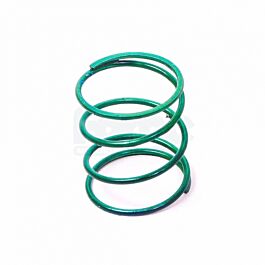 Image of Dump Valve Spring (Single)