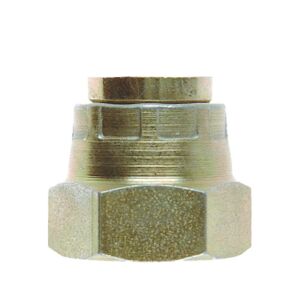 Goodridge CAP 1/4 BSP